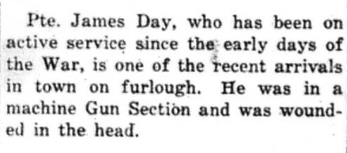 Canadian Echo Wiarton, January 1, 1919